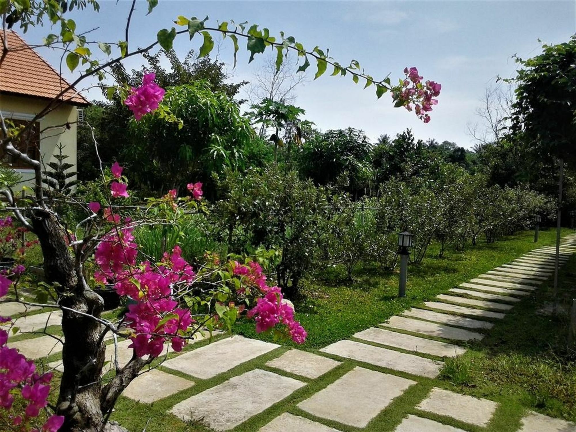 Spring Garden Homestay Phu Quoc Bagian luar foto