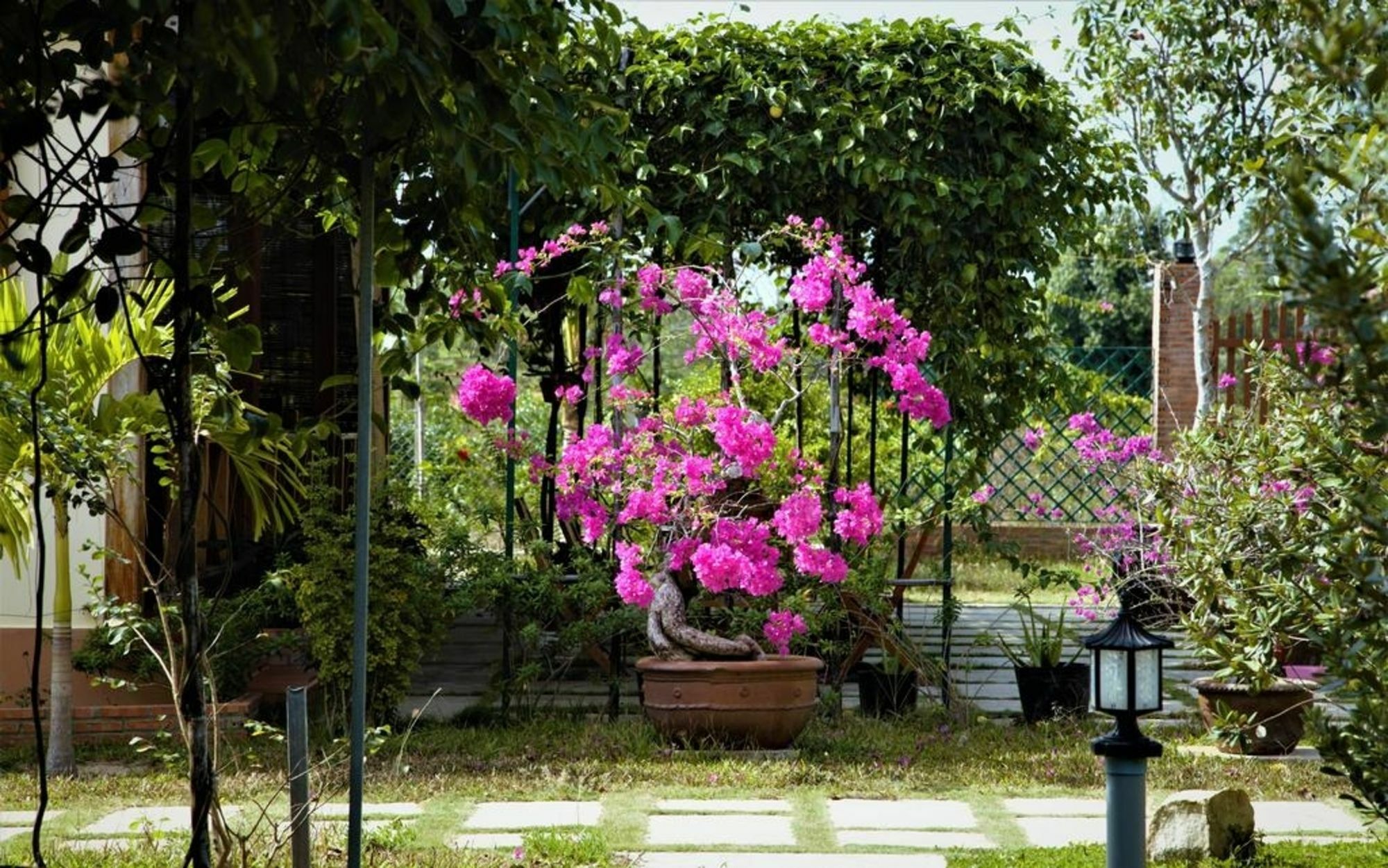 Spring Garden Homestay Phu Quoc Bagian luar foto