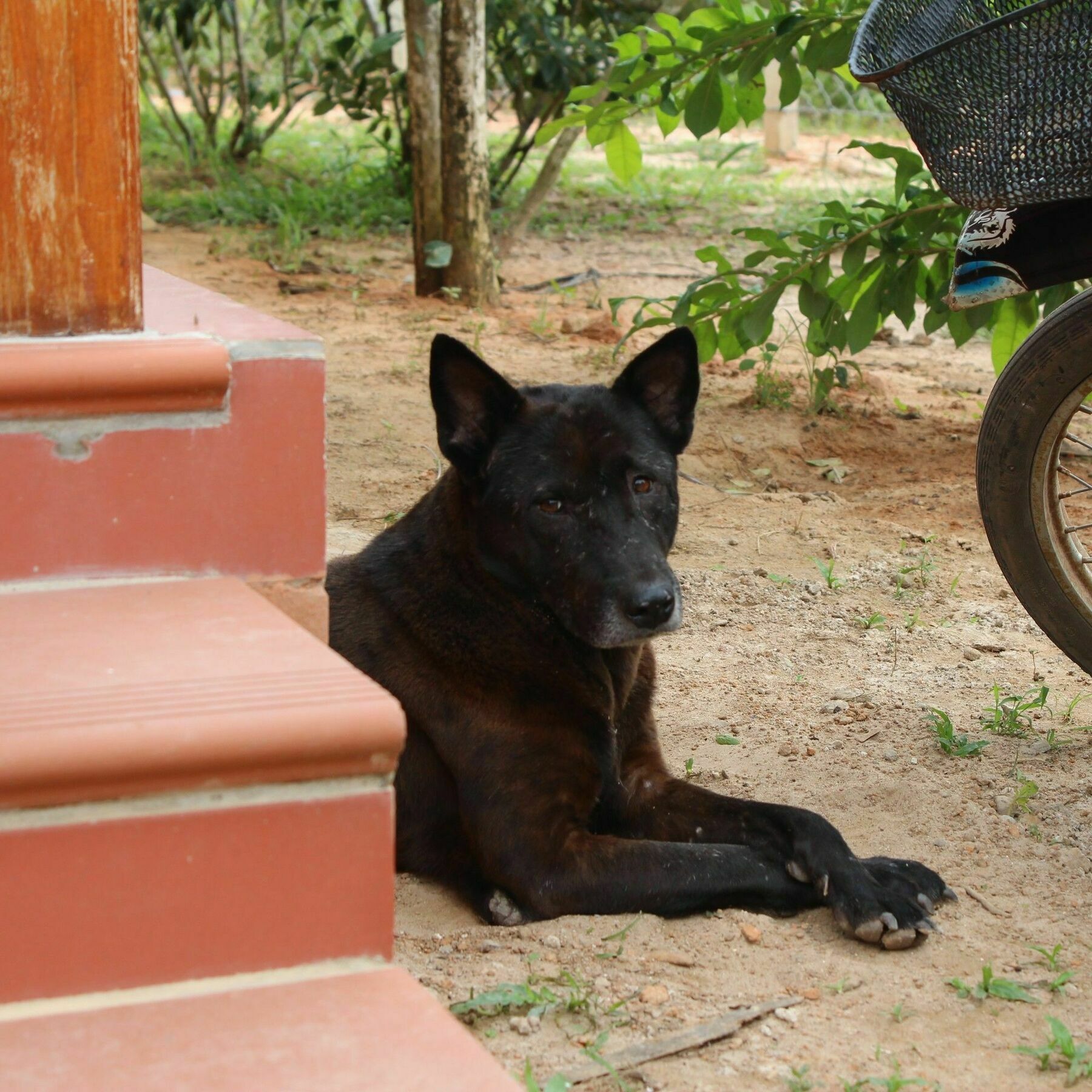 Spring Garden Homestay Phu Quoc Bagian luar foto