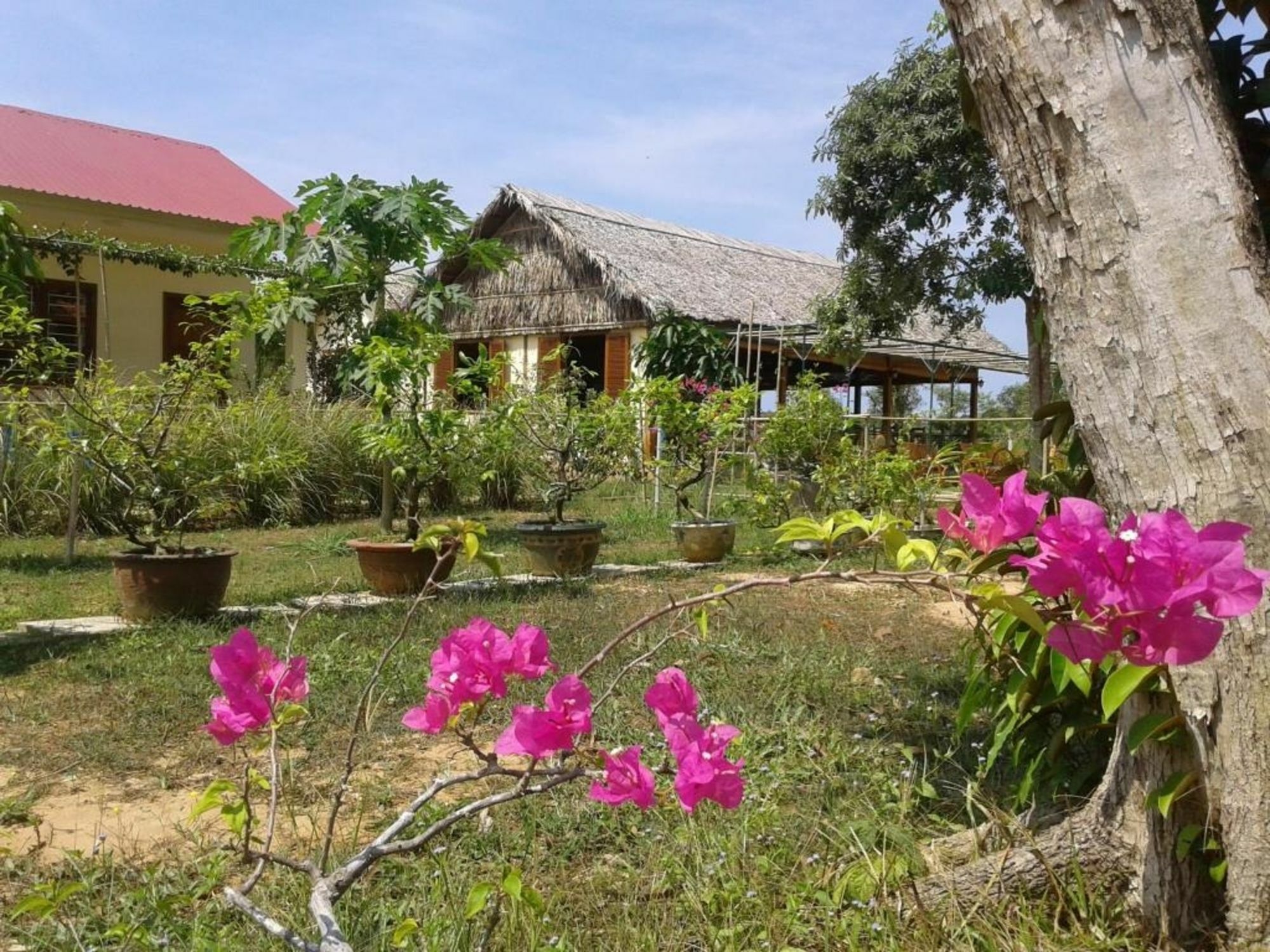 Spring Garden Homestay Phu Quoc Bagian luar foto