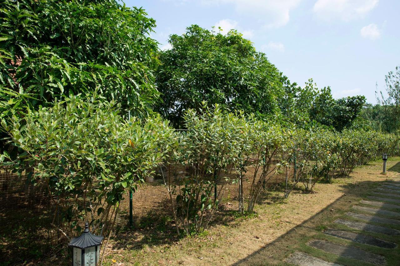 Spring Garden Homestay Phu Quoc Bagian luar foto
