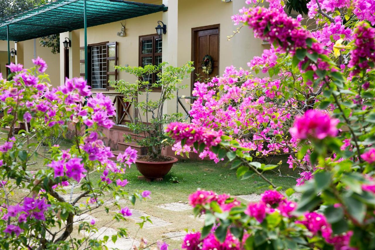 Spring Garden Homestay Phu Quoc Bagian luar foto